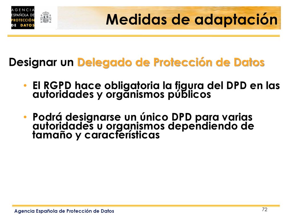 Medidas de adaptación Designar un Delegado de Protección de Datos