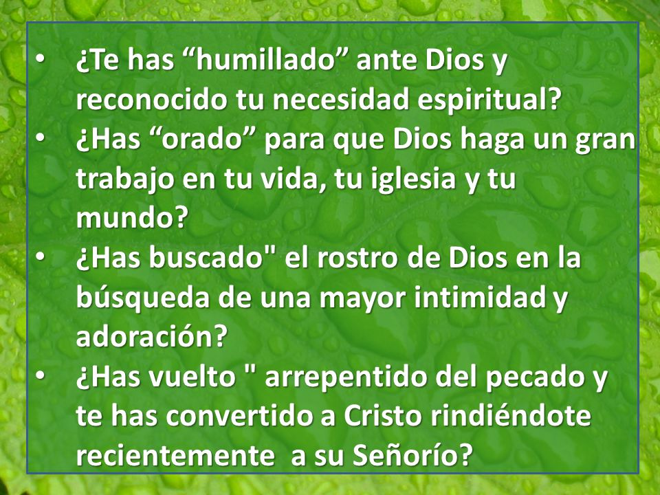 ¿Te has humillado ante Dios y reconocido tu necesidad espiritual