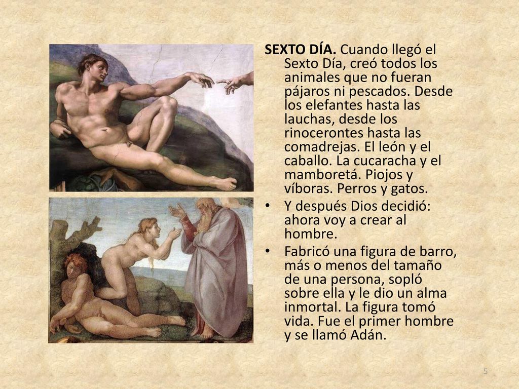 SEXTO DÍA. Cuando llegó el Sexto Día, creó todos los animales que no fueran pájaros ni pescados. Desde los elefantes hasta las lauchas, desde los rinocerontes hasta las comadrejas. El león y el caballo. La cucaracha y el mamboretá. Piojos y víboras. Perros y gatos.