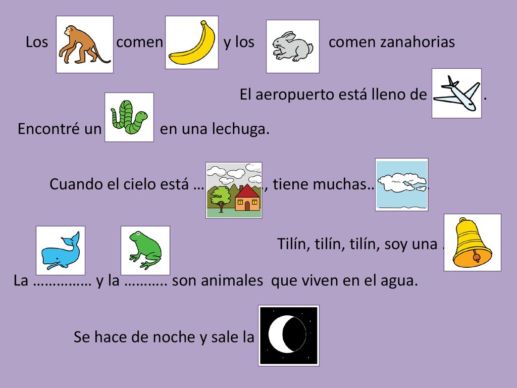 Los ……... comen y los comen zanahorias. El aeropuerto está lleno de …………..