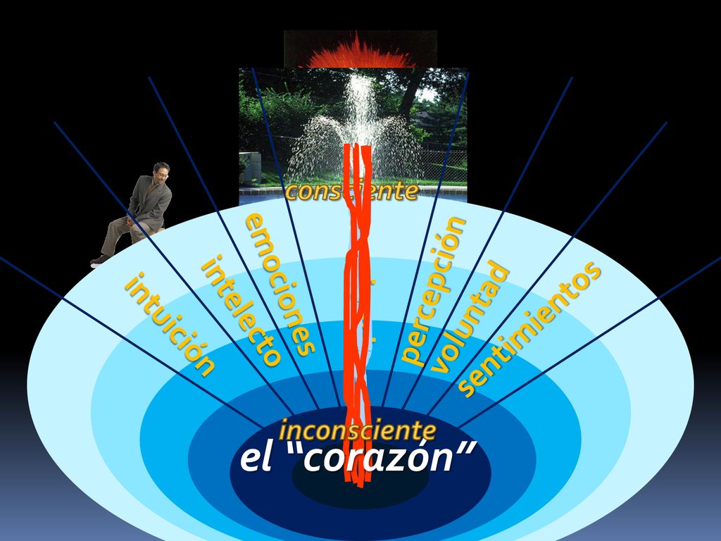 √ el corazón emociones percepción conciencia voluntad intelecto