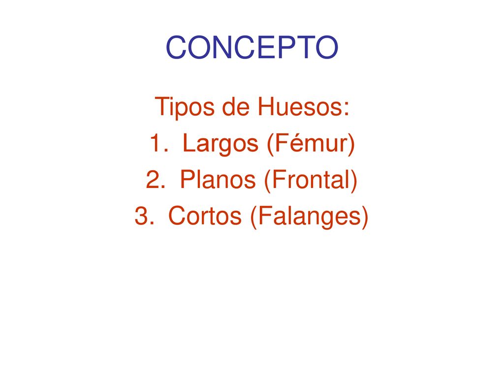 CONCEPTO Tipos de Huesos: Largos (Fémur) Planos (Frontal)