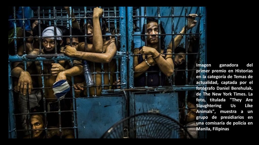 Imagen ganadora del primer premio en Historias en la categoría de Temas de actualidad, captada por el fotógrafo Daniel Berehulak, de The New York Times.