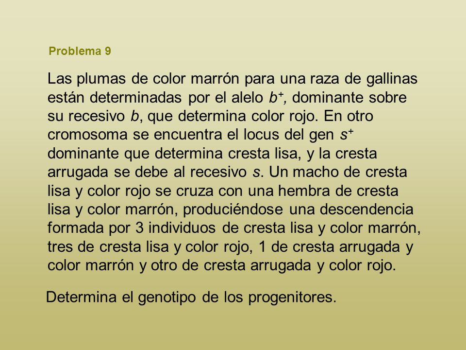 Determina el genotipo de los progenitores.