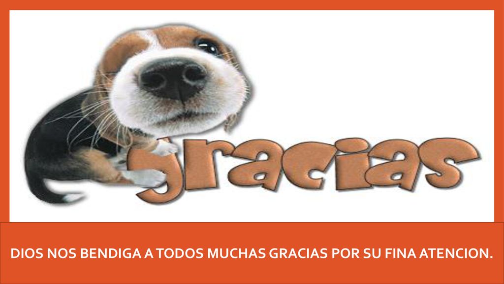 DIOS NOS BENDIGA A TODOS MUCHAS GRACIAS POR SU FINA ATENCION.