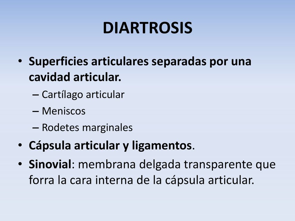 DIARTROSIS Superficies articulares separadas por una cavidad articular. Cartílago articular. Meniscos.
