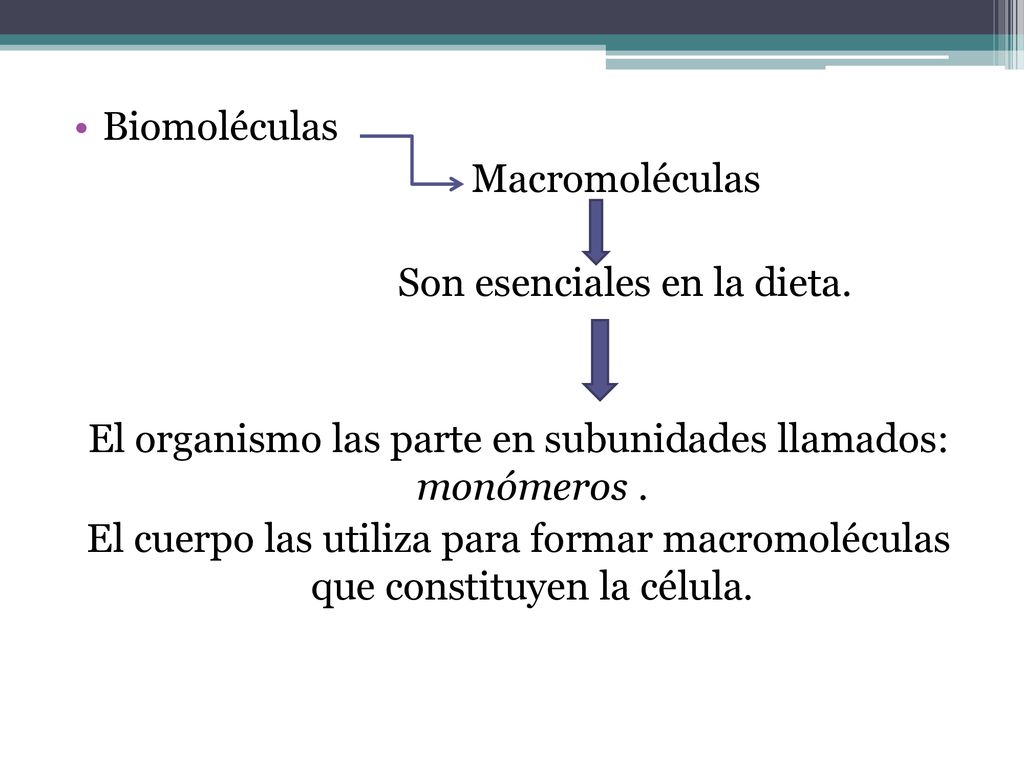 El organismo las parte en subunidades llamados: monómeros .