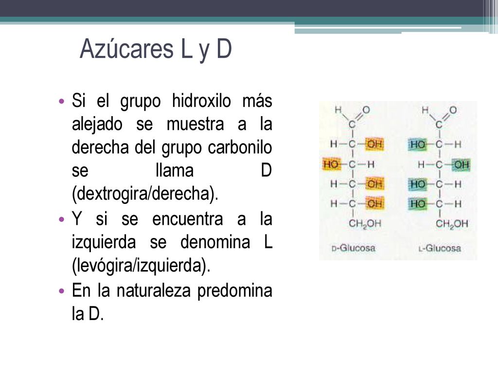 Azúcares L y D Si el grupo hidroxilo más alejado se muestra a la derecha del grupo carbonilo se llama D (dextrogira/derecha).