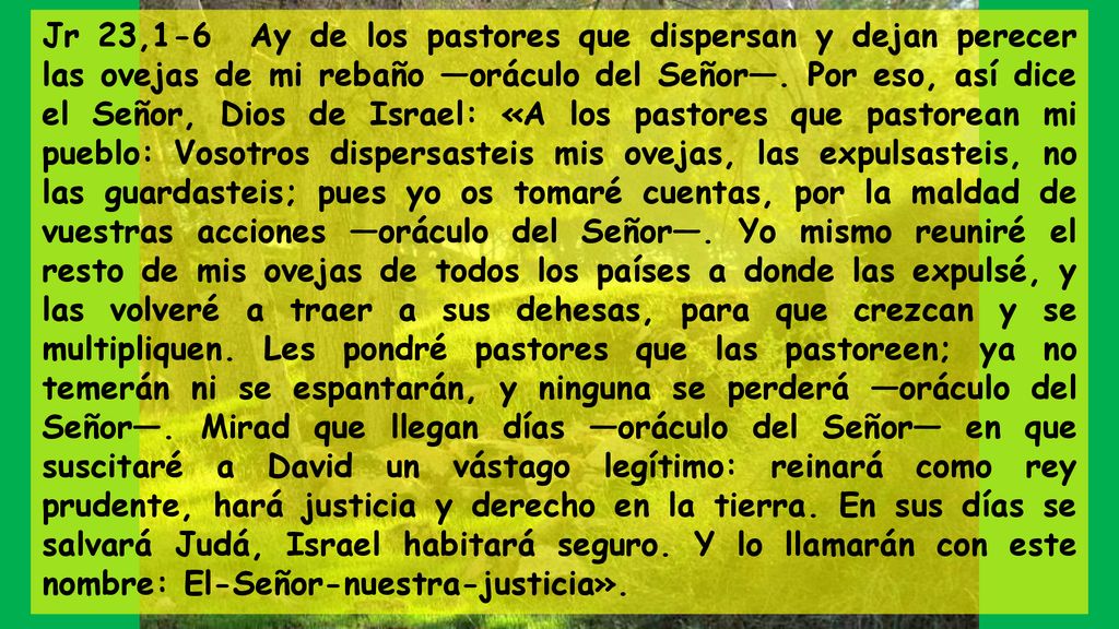 Jr 23,1-6 Ay de los pastores que dispersan y dejan perecer las ovejas de mi rebaño —oráculo del Señor—.