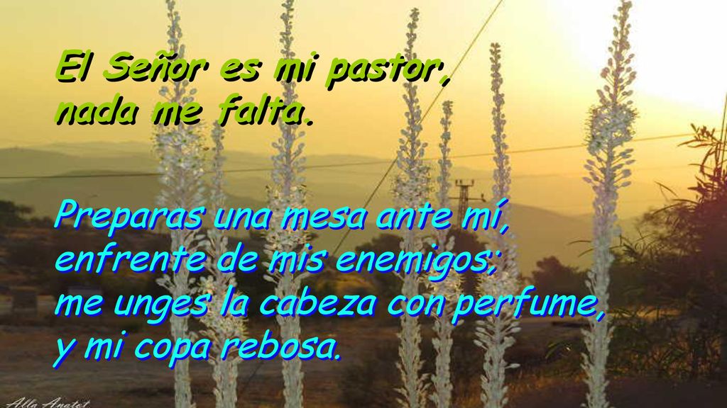 El Señor es mi pastor, nada me falta.