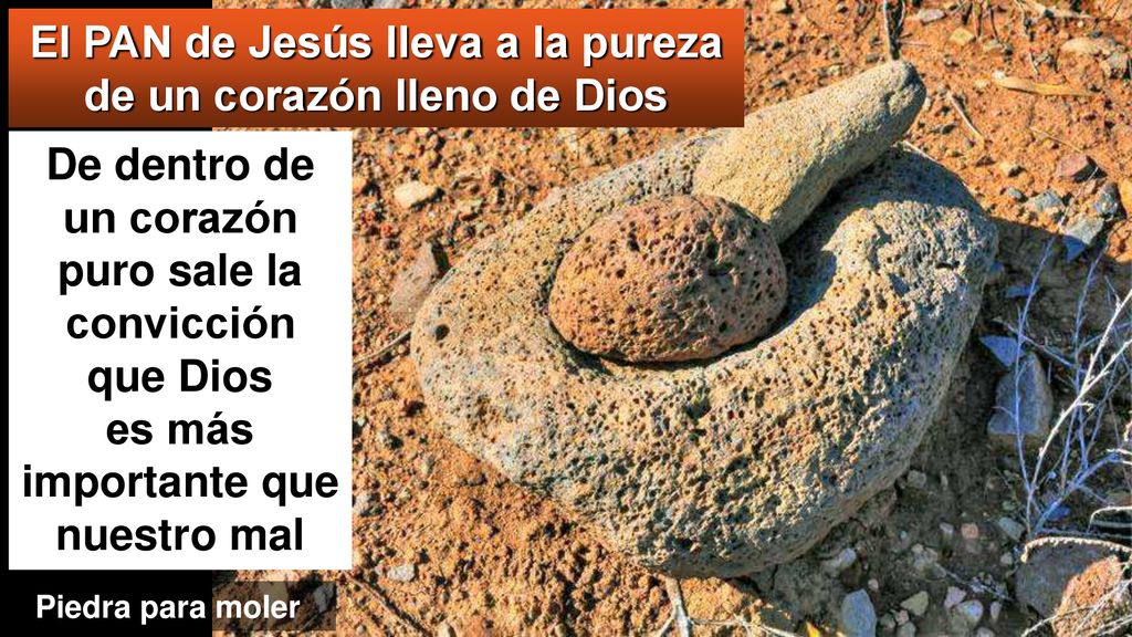El PAN de Jesús lleva a la pureza de un corazón lleno de Dios