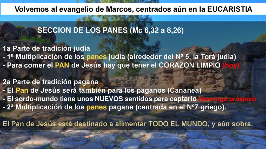 Volvemos al evangelio de Marcos, centrados aún en la EUCARISTIA