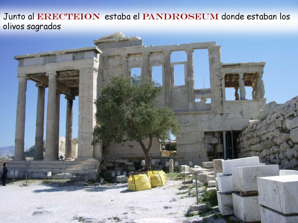 Junto al ERECTEION estaba el Pandroseum donde estaban los olivos sagrados