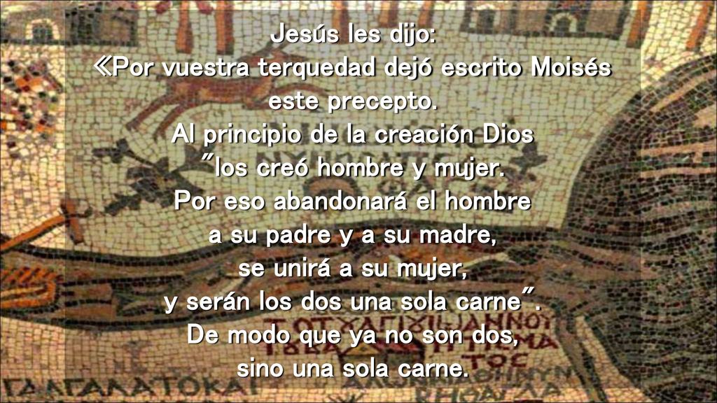 Jesús les dijo: «Por vuestra terquedad dejó escrito Moisés este precepto.