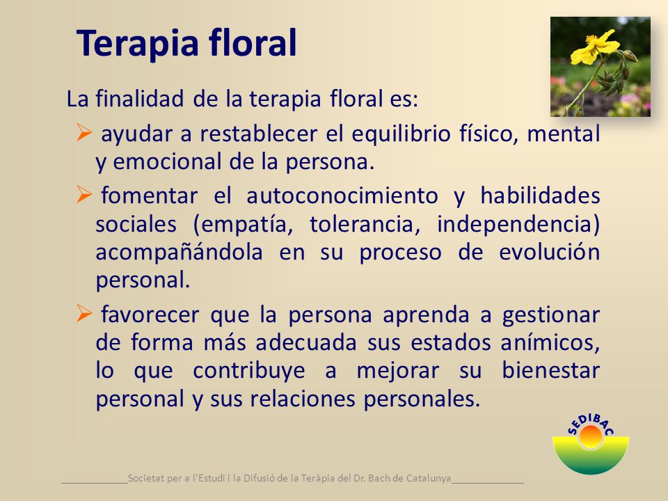Terapia floral La finalidad de la terapia floral es: