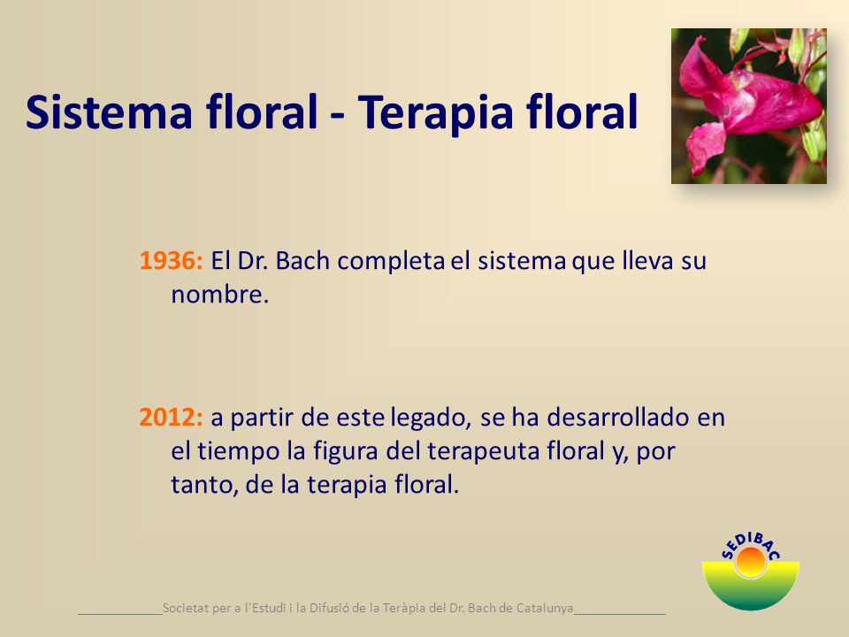 Sistema floral - Terapia floral