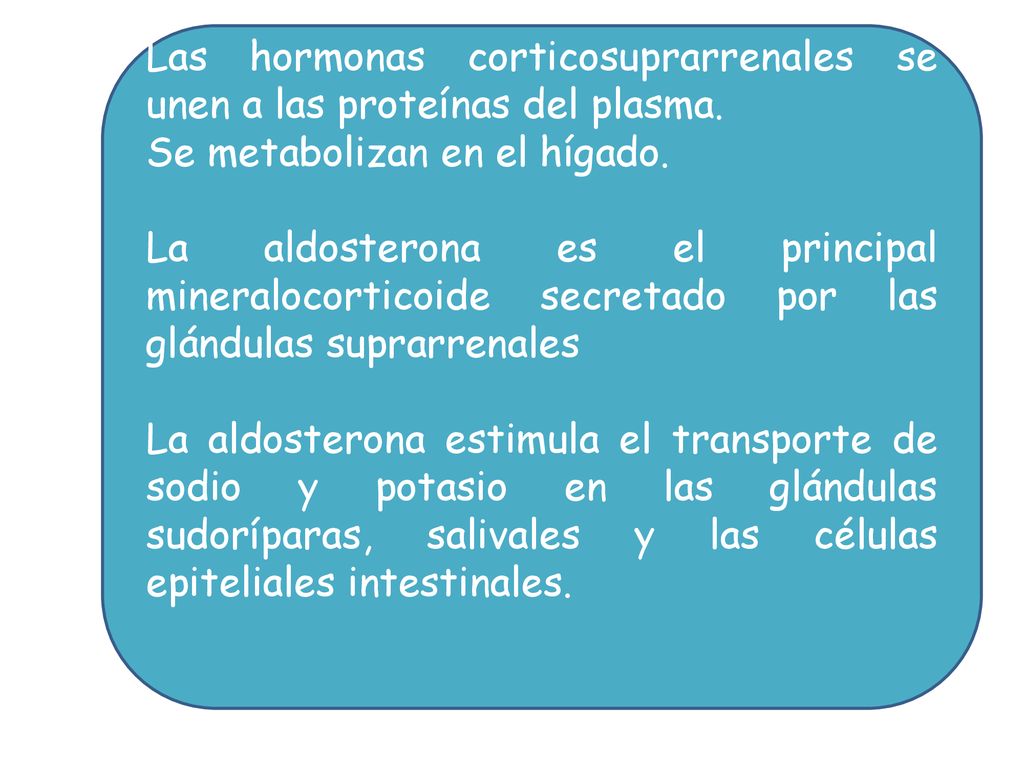 Las hormonas corticosuprarrenales se unen a las proteínas del plasma.