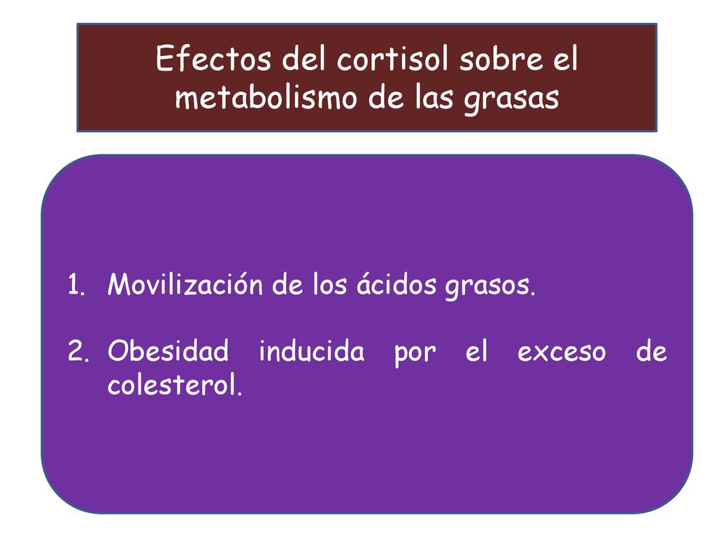 Efectos del cortisol sobre el metabolismo de las grasas