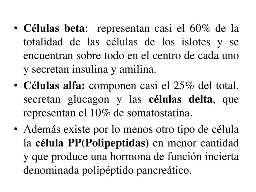Células beta: representan casi el 60% de la totalidad de las células de los islotes y se encuentran sobre todo en el centro de cada uno y secretan insulina y amilina.