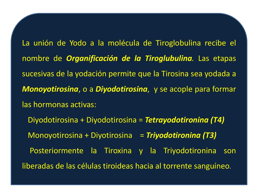 La unión de Yodo a la molécula de Tiroglobulina recibe el nombre de Organificación de la Tiroglubulina. Las etapas sucesivas de la yodación permite que la Tirosina sea yodada a Monoyotirosina, o a Diyodotirosina, y se acople para formar las hormonas activas: