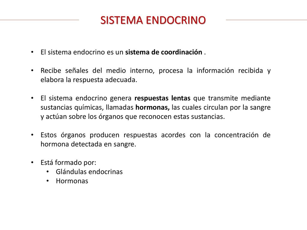 SISTEMA ENDOCRINO El sistema endocrino es un sistema de coordinación .