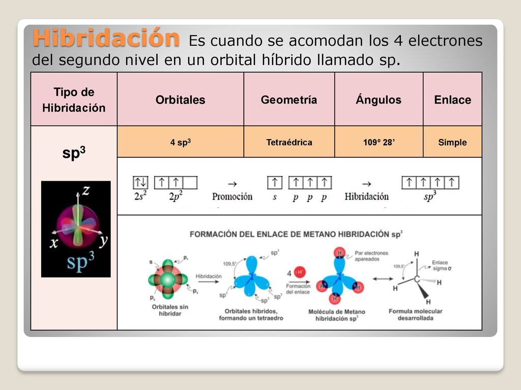 Hibridación Es cuando se acomodan los 4 electrones del segundo nivel en un orbital híbrido llamado sp.
