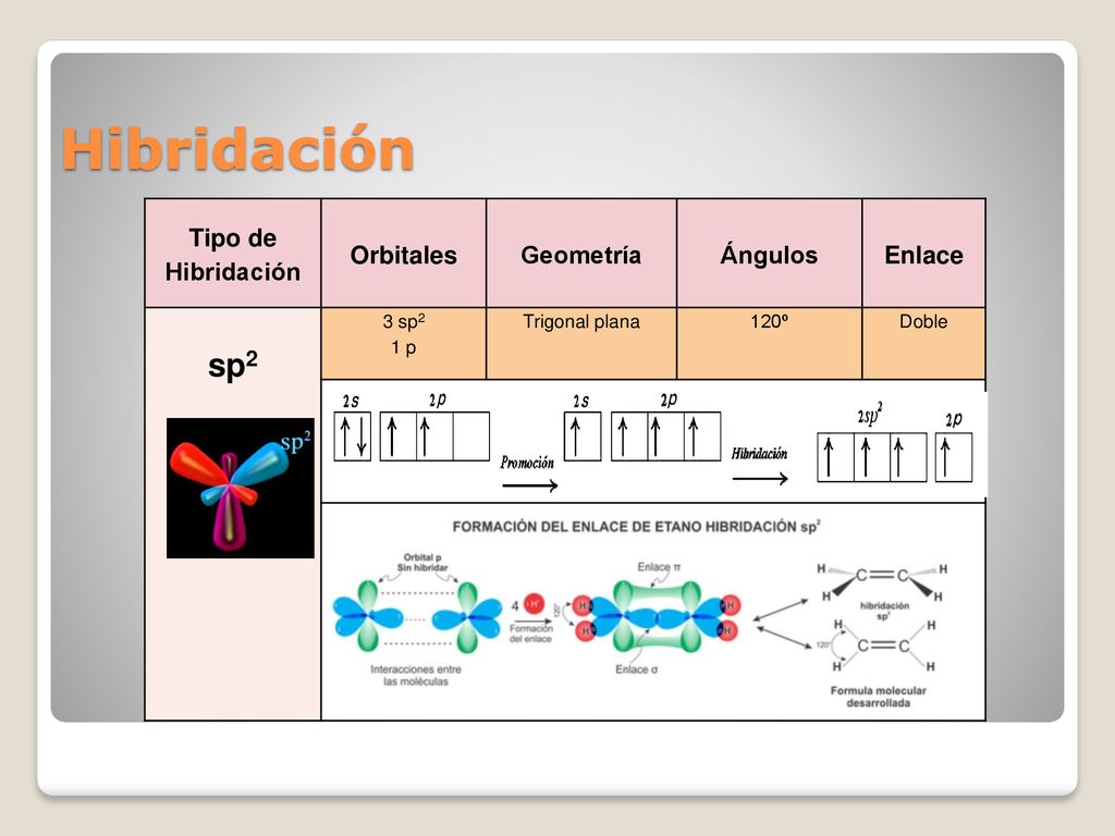 Hibridación sp2 Tipo de Hibridación Orbitales Geometría Ángulos Enlace