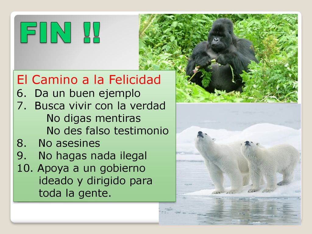 FIN !! El Camino a la Felicidad 6. Da un buen ejemplo