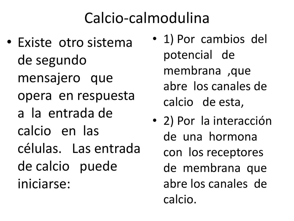 Calcio-calmodulina 1) Por cambios del potencial de membrana ,que abre los canales de calcio de esta,