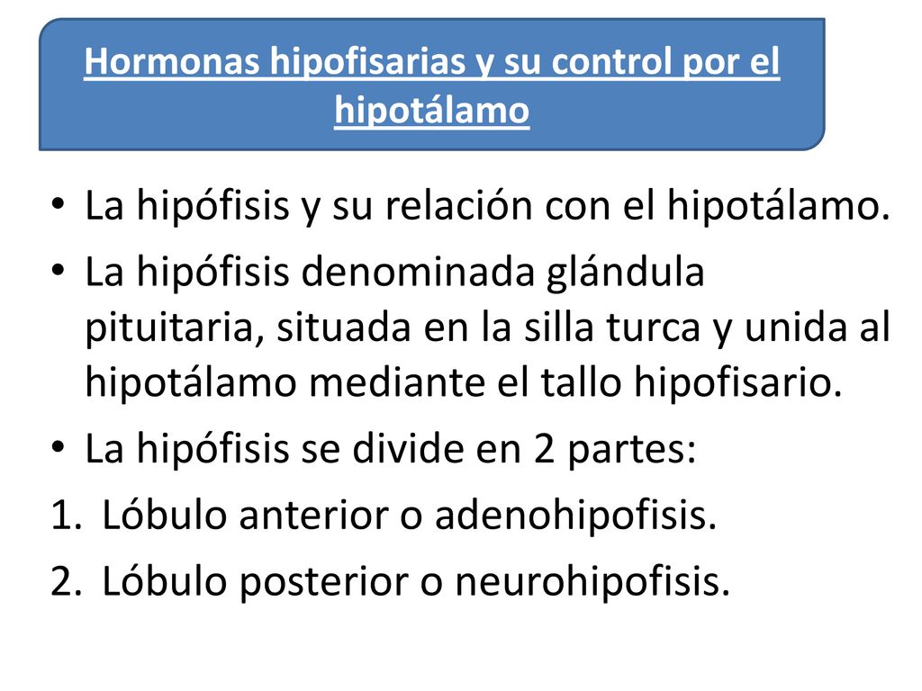 Hormonas hipofisarias y su control por el hipotálamo
