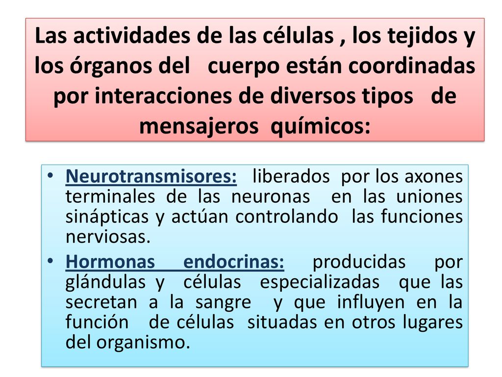 Las actividades de las células , los tejidos y los órganos del cuerpo están coordinadas por interacciones de diversos tipos de mensajeros químicos: