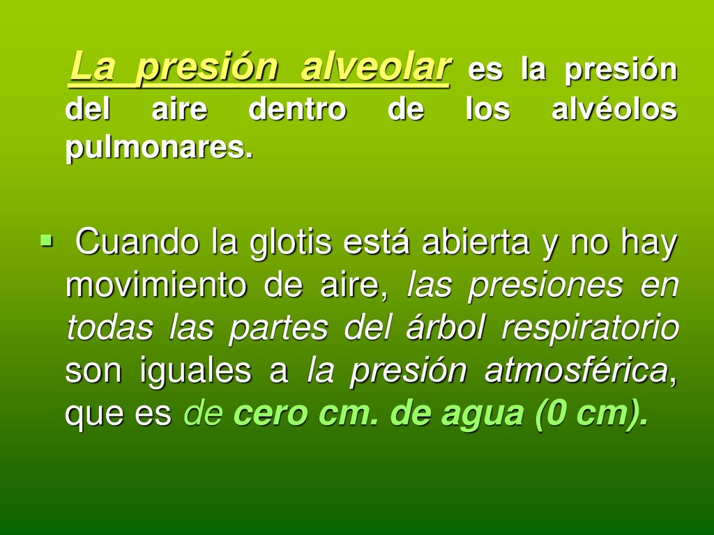 La presión alveolar es la presión del aire dentro de los alvéolos pulmonares.
