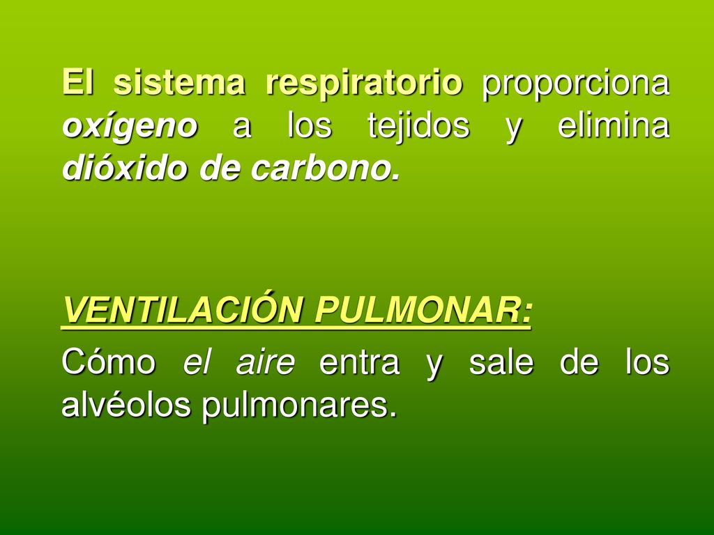 El sistema respiratorio proporciona oxígeno a los tejidos y elimina dióxido de carbono.
