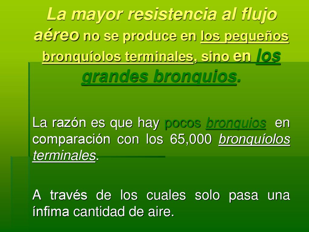 La mayor resistencia al flujo aéreo no se produce en los pequeños bronquíolos terminales, sino en los grandes bronquios.
