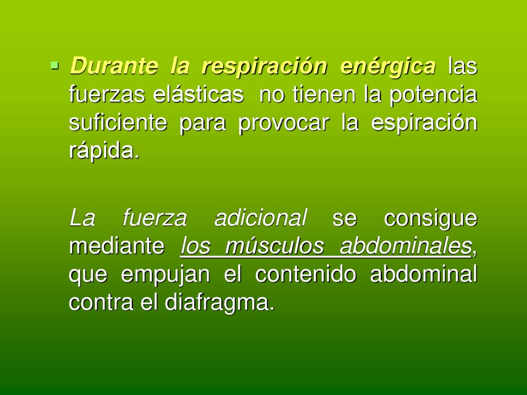 Durante la respiración enérgica las fuerzas elásticas no tienen la potencia suficiente para provocar la espiración rápida.