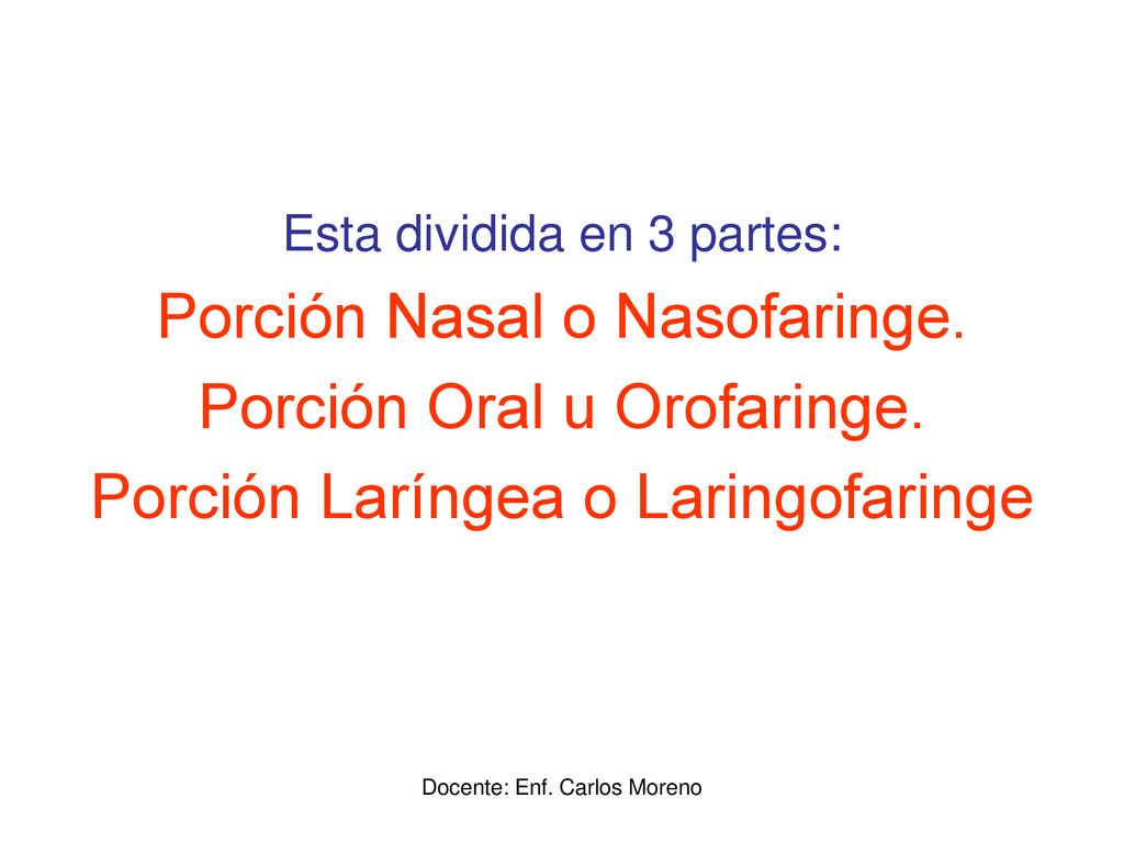 Porción Nasal o Nasofaringe. Porción Oral u Orofaringe.