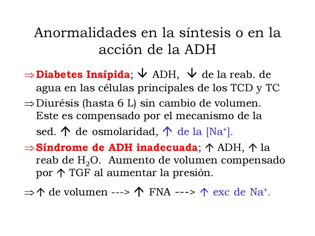 Anormalidades en la síntesis o en la acción de la ADH