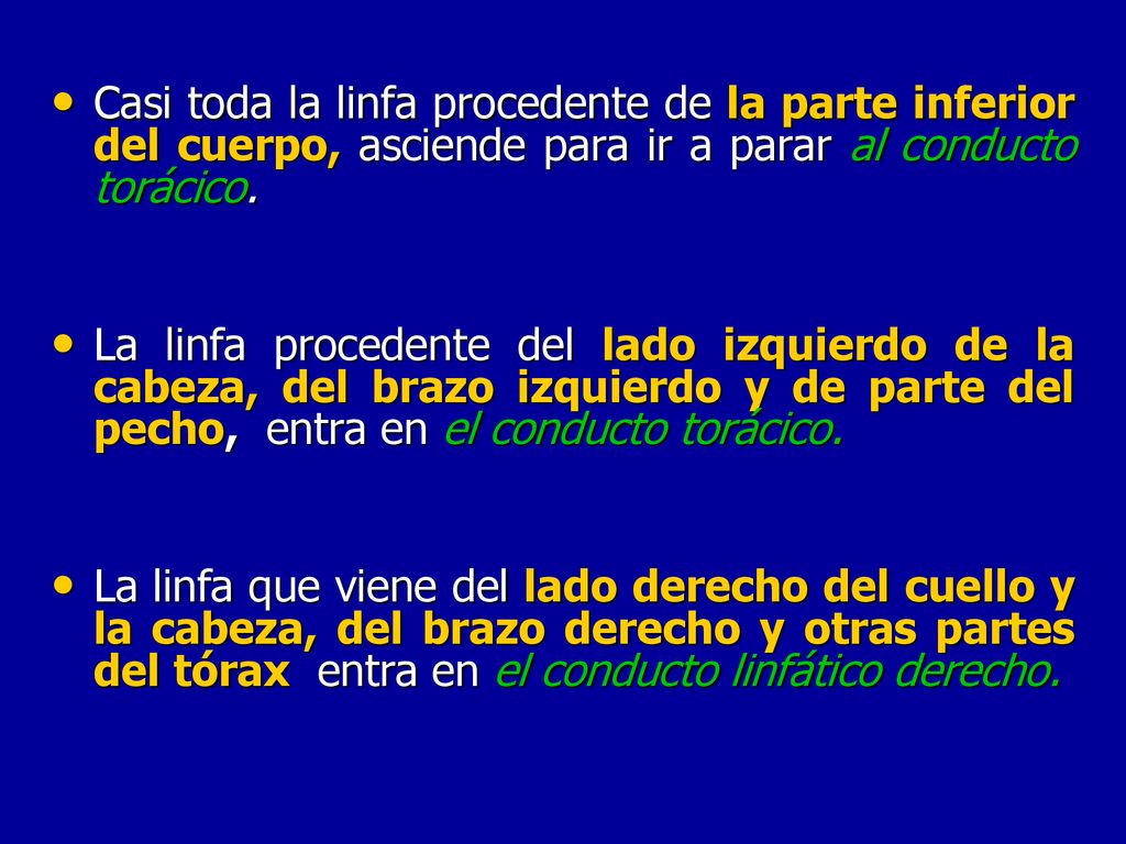 Casi toda la linfa procedente de la parte inferior del cuerpo, asciende para ir a parar al conducto torácico.