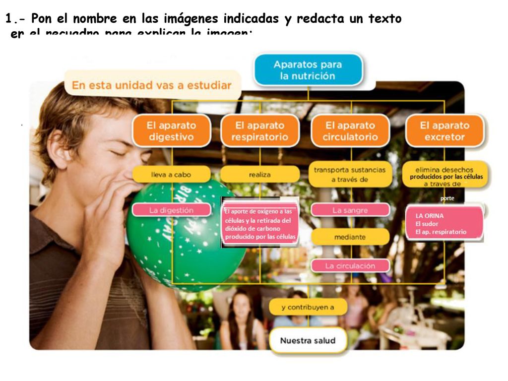 1.- Pon el nombre en las imágenes indicadas y redacta un texto