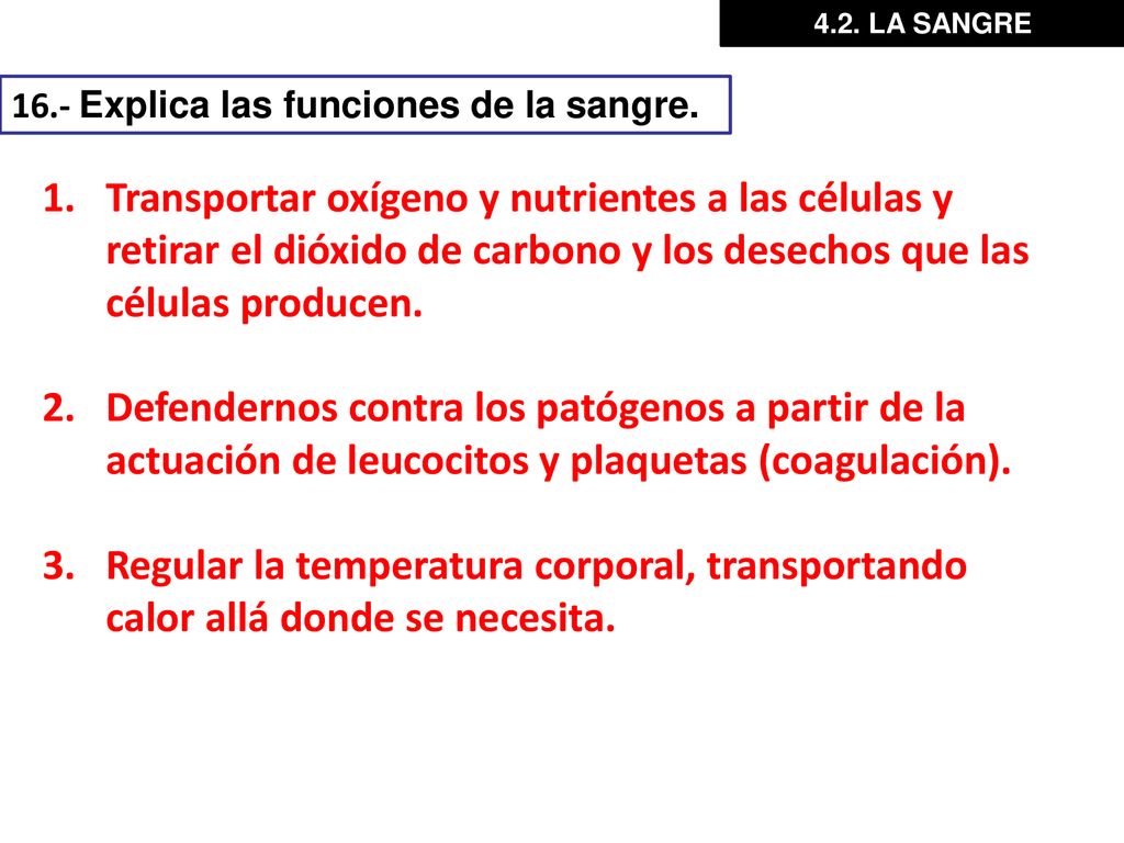 4.2. LA SANGRE 16.- Explica las funciones de la sangre.