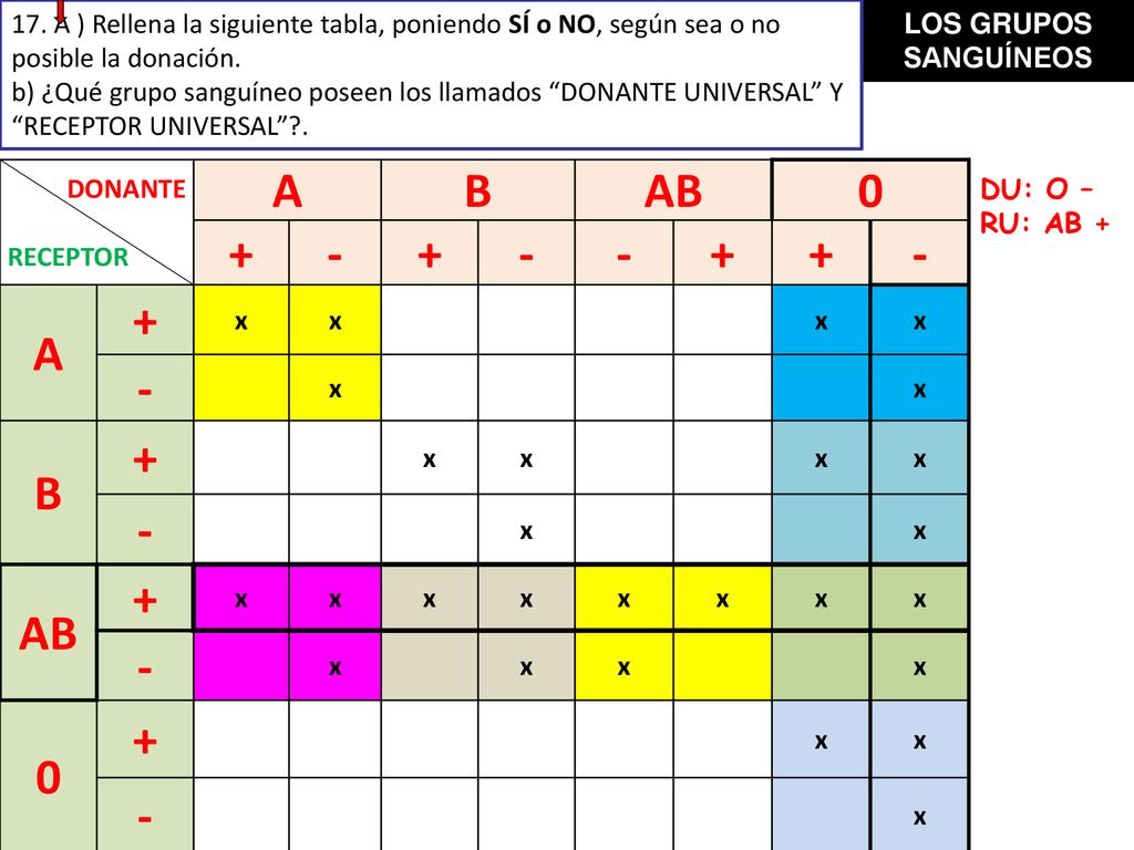 17. A ) Rellena la siguiente tabla, poniendo SÍ o NO, según sea o no posible la donación.