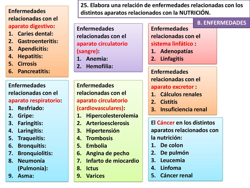 25. Elabora una relación de enfermedades relacionadas con los distintos aparatos relacionados con la NUTRICIÓN.