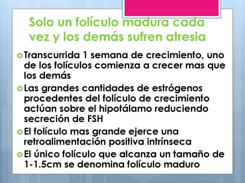 Solo un folículo madura cada vez y los demás sufren atresia