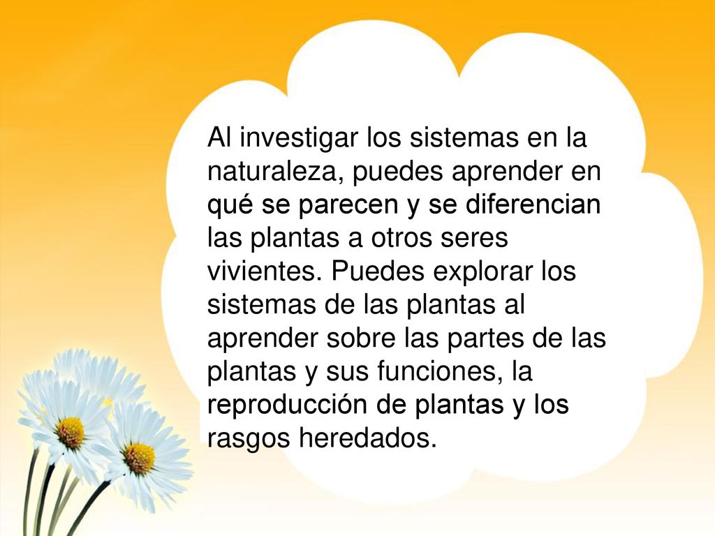 Al investigar los sistemas en la naturaleza, puedes aprender en qué se parecen y se diferencian las plantas a otros seres vivientes.