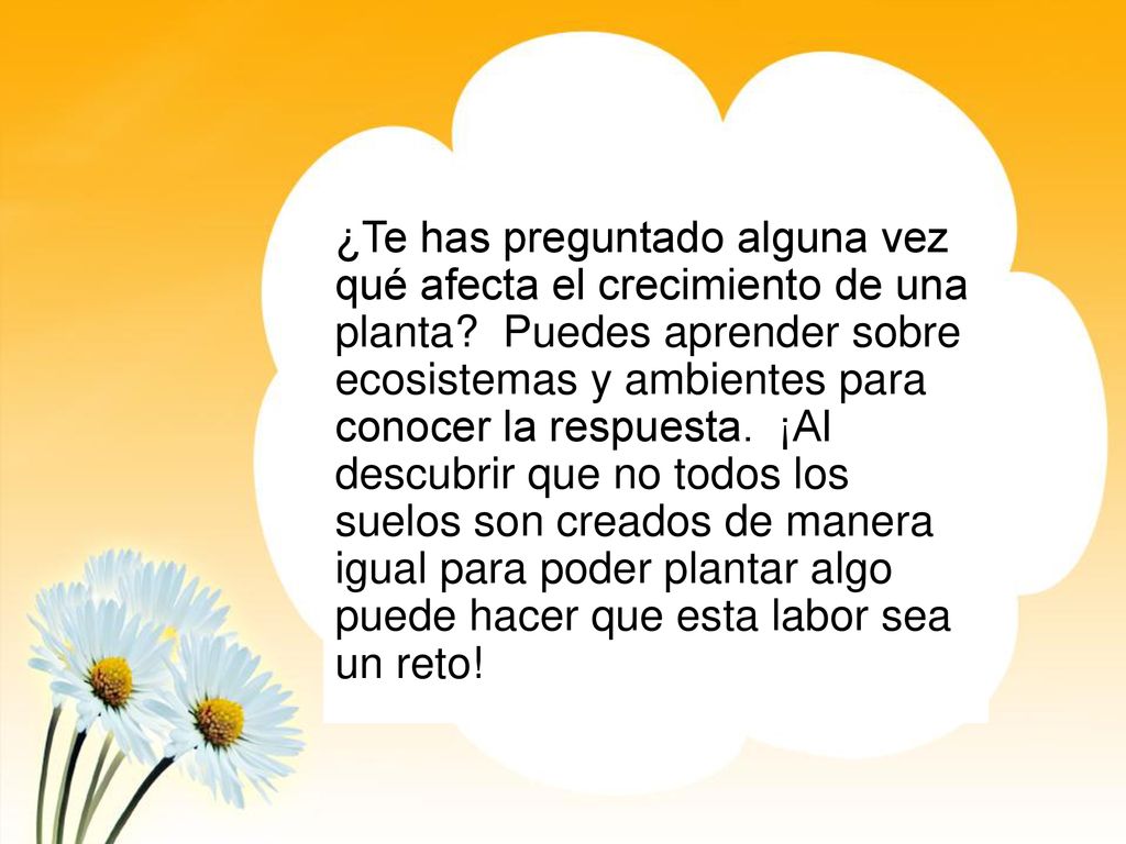 ¿Te has preguntado alguna vez qué afecta el crecimiento de una planta