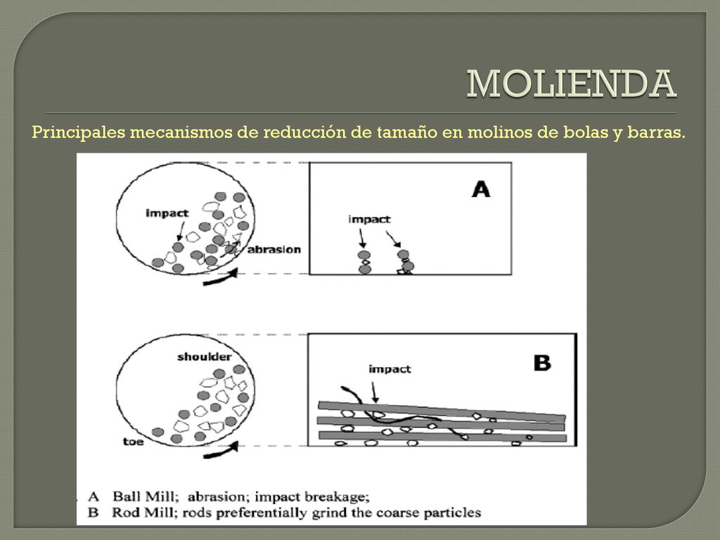 MOLIENDA Principales mecanismos de reducción de tamaño en molinos de bolas y barras.