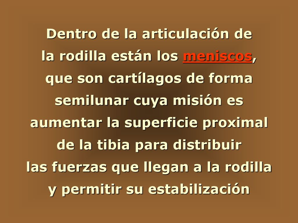 Dentro de la articulación de la rodilla están los meniscos,