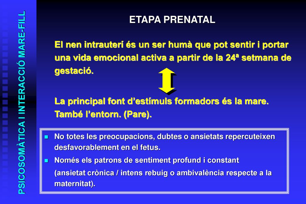 ETAPA PRENATAL El nen intrauterí és un ser humà que pot sentir i portar una vida emocional activa a partir de la 24ª setmana de gestació.