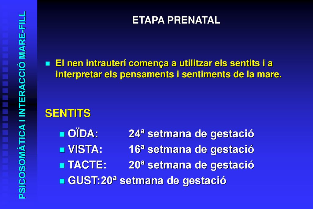 OÏDA: 24ª setmana de gestació VISTA: 16ª setmana de gestació