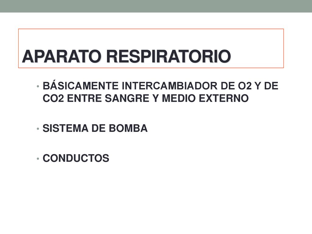 APARATO RESPIRATORIO BÁSICAMENTE INTERCAMBIADOR DE O2 Y DE CO2 ENTRE SANGRE Y MEDIO EXTERNO. SISTEMA DE BOMBA.
